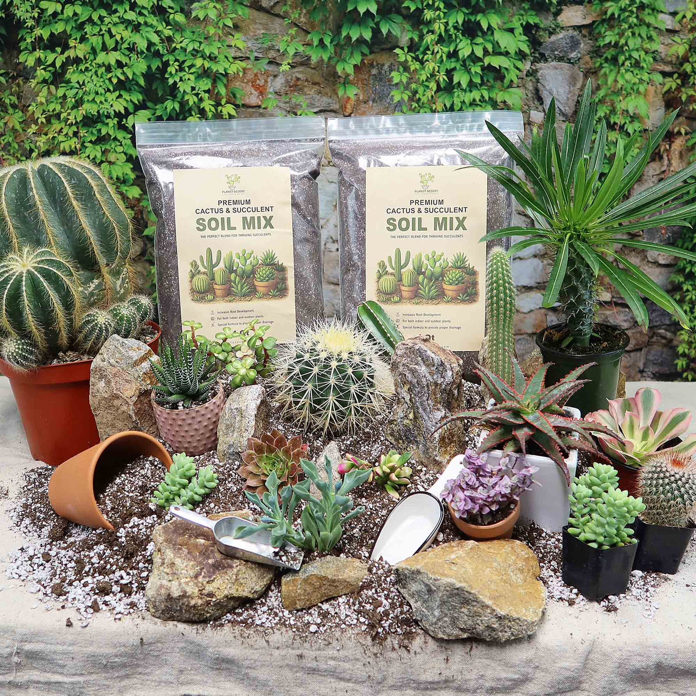 Cactus and Succulent Soil Mix: The Ultimate Pro Mix Formula 12 Quarts