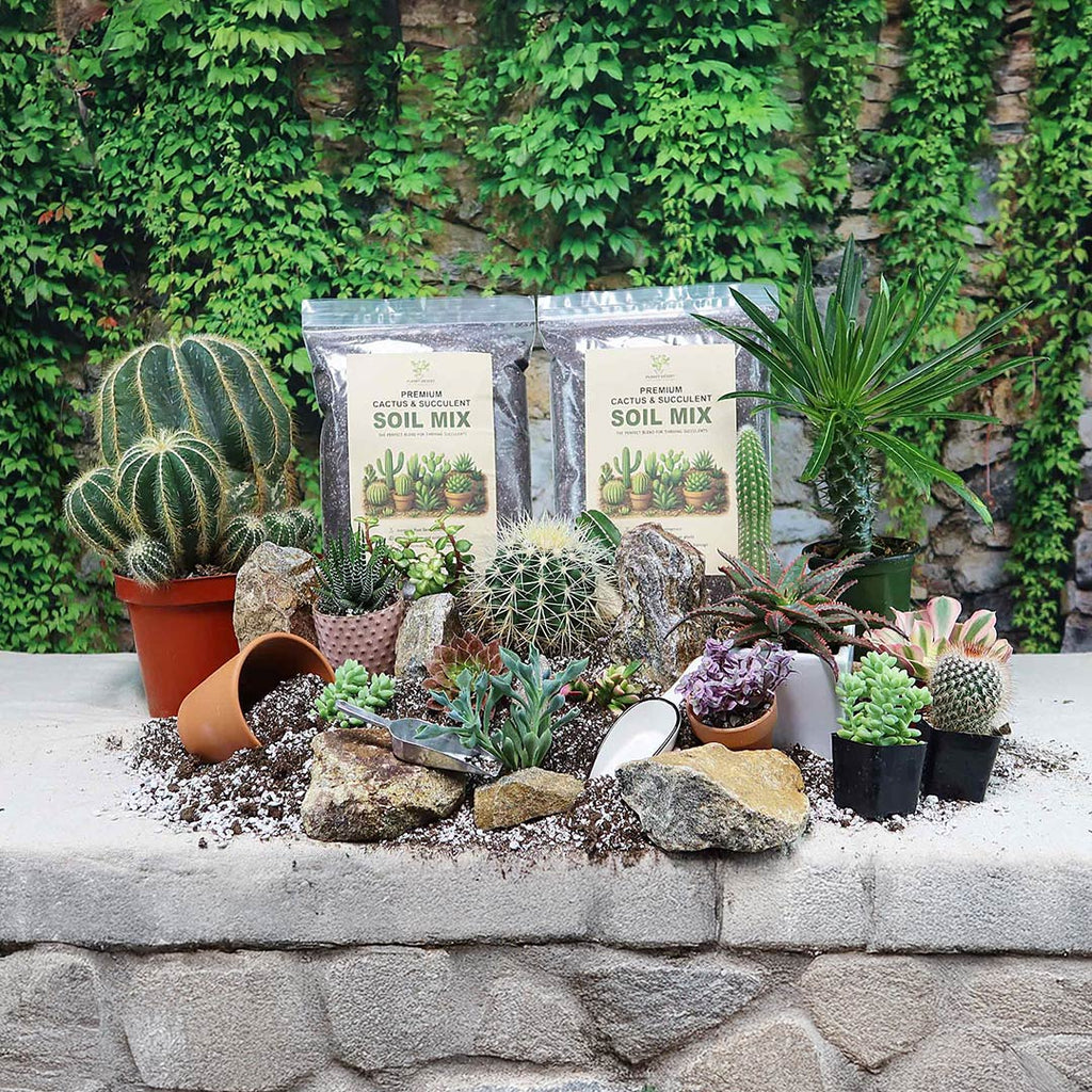 Cactus and Succulent Soil Mix: The Ultimate Pro Mix Formula