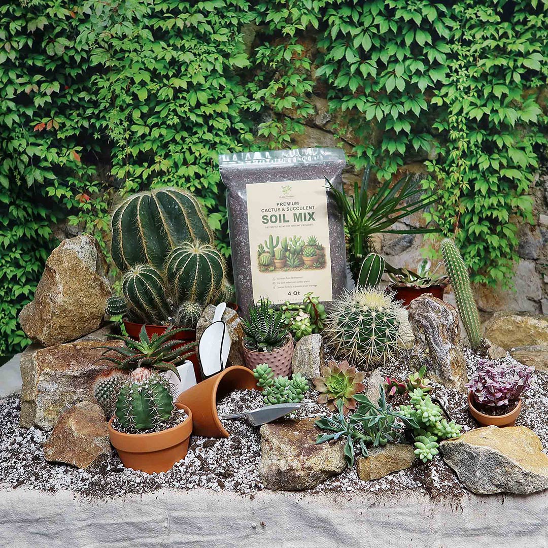 soil for succulents in pots Cactus and Succulent Soil Mix: The Ultimate Pro Mix Formula 12 Quarts