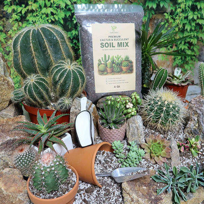 Cactus and Succulent Soil Mix: The Ultimate Pro Mix Formula 12 Quarts