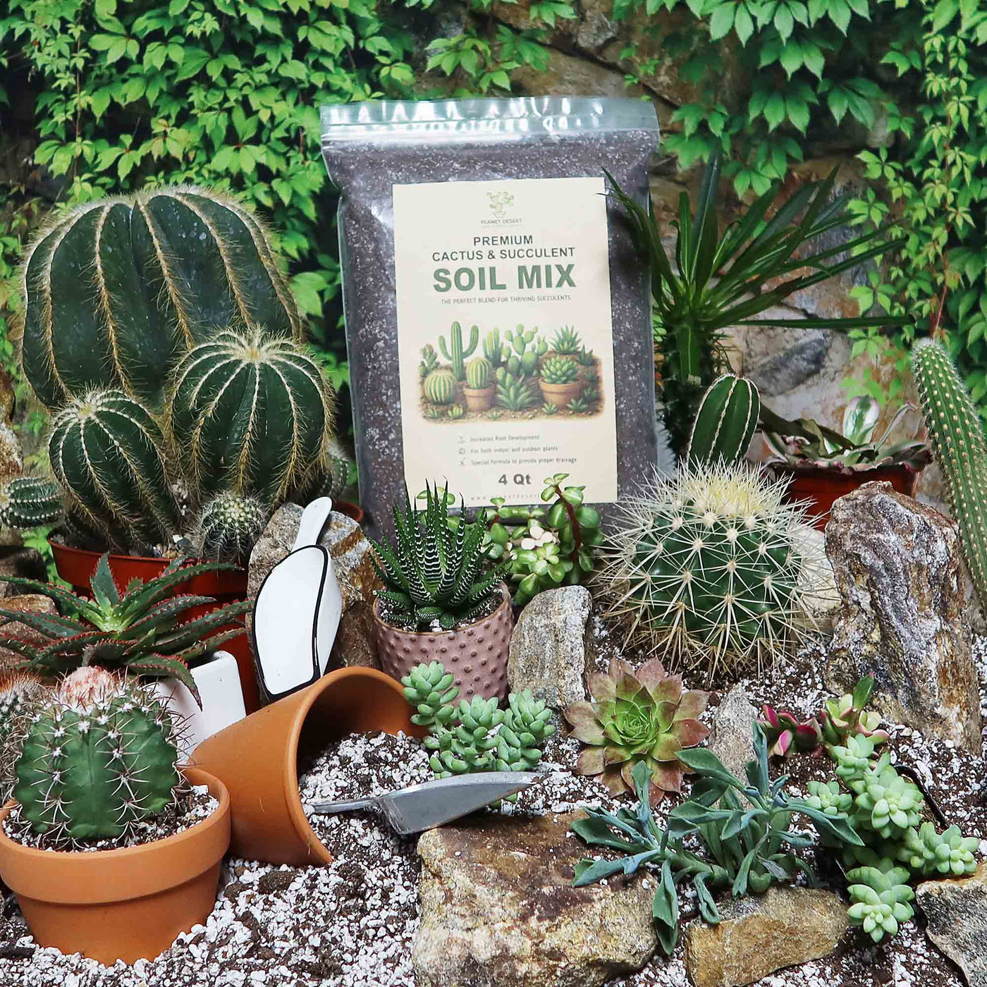 aloe soil mix Cactus and Succulent Soil Mix: The Ultimate Pro Mix Formula 12 Quarts