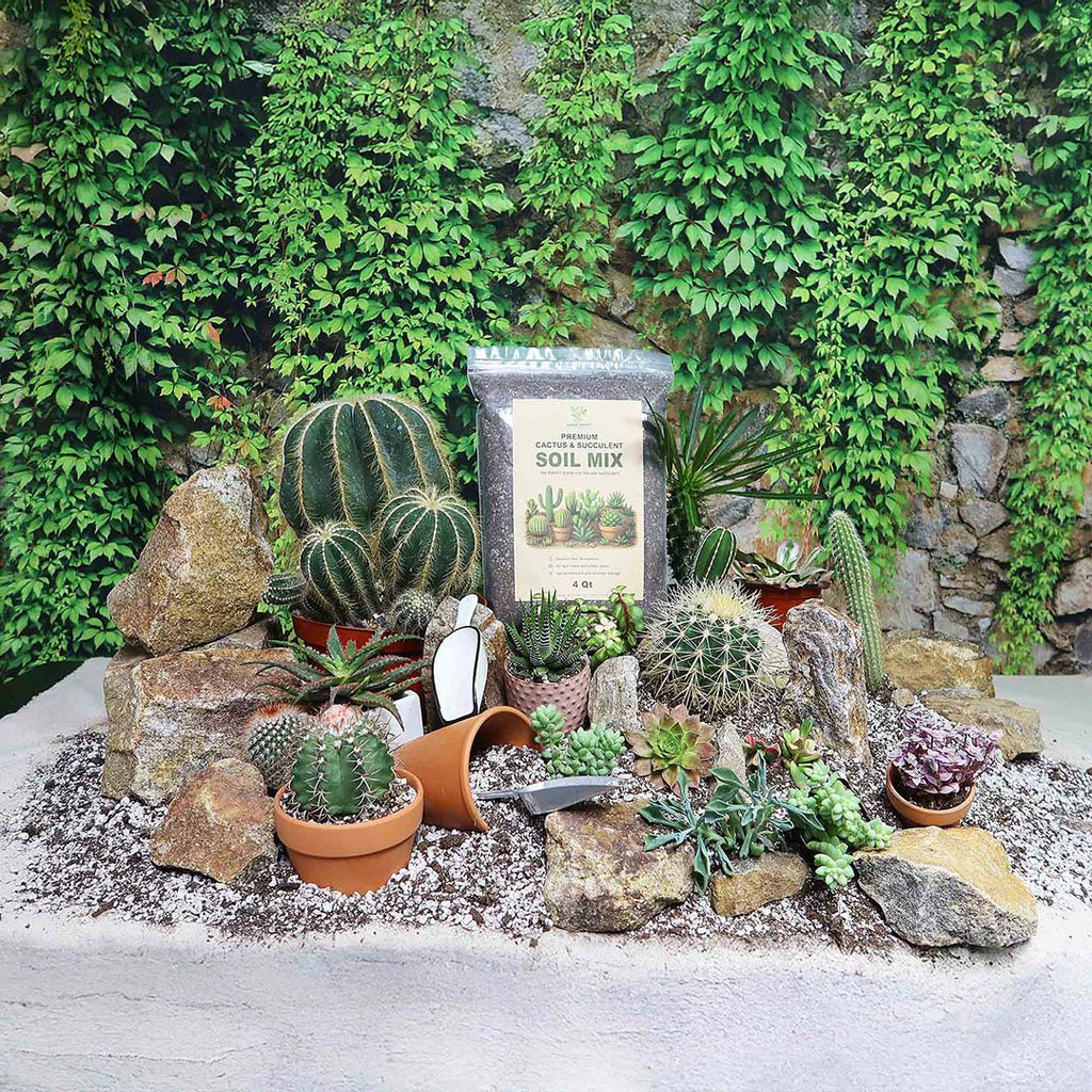 Cactus and Succulent Soil Mix: The Ultimate Pro Mix Formula