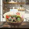 Cactus Gift Basket Arrangement – A Unique Holiday Gift