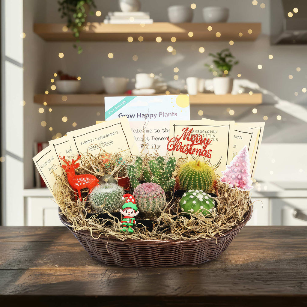 Cactus Gift Basket Arrangement – A Unique Holiday Gift
