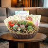 Cactus Gift Basket Arrangement – A Unique Holiday Gift