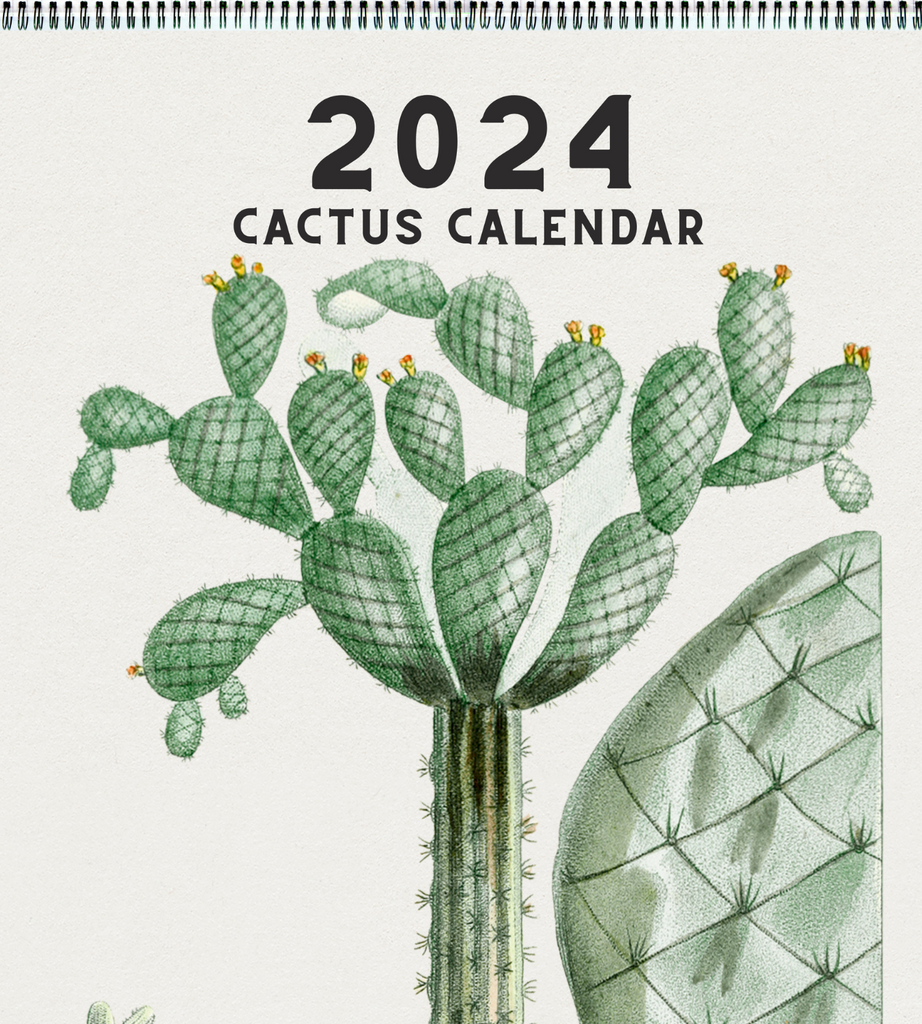 2024 Cactus Calendar – Planet Desert 2024-cactus-calendar-planet-desert