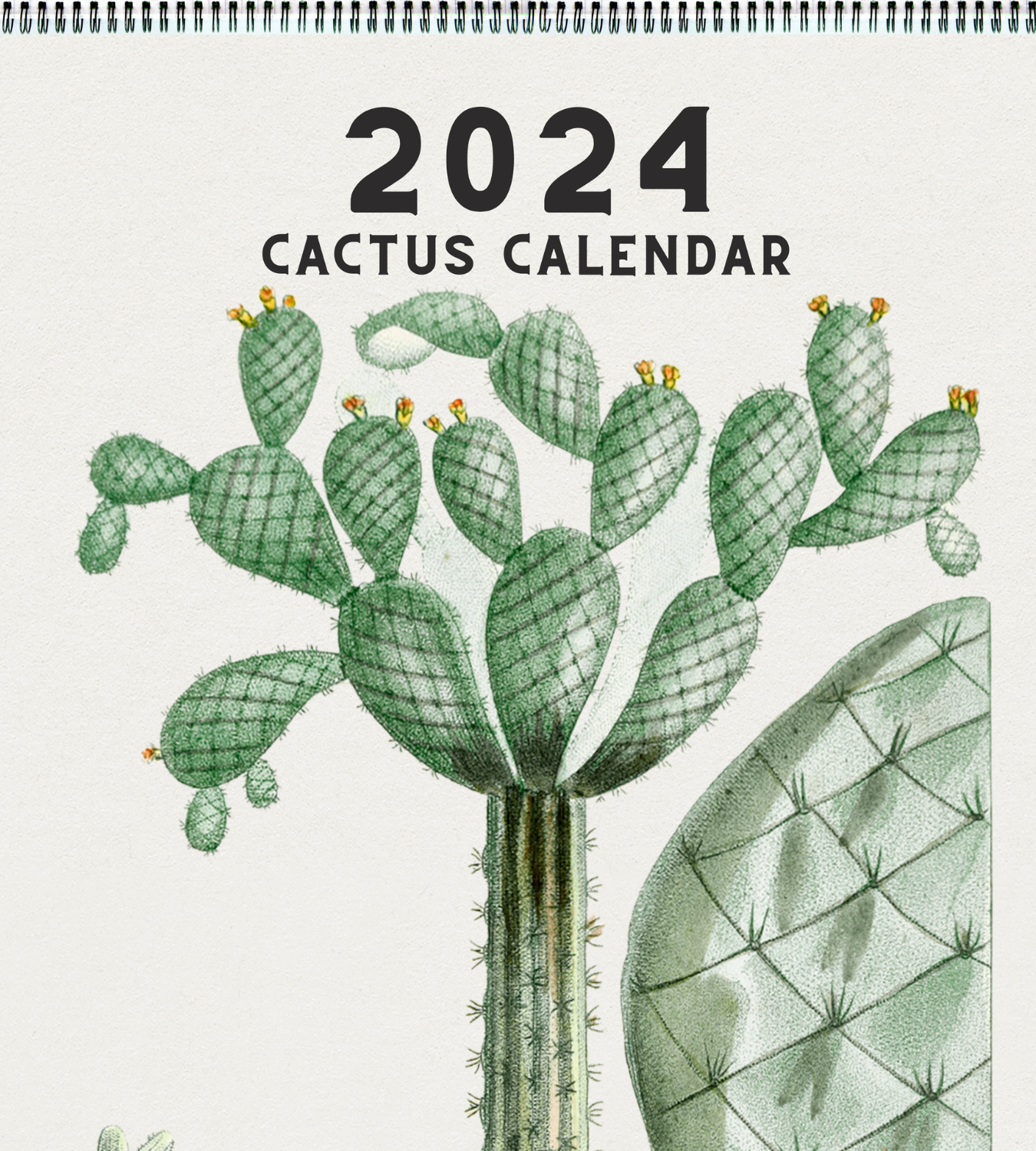 2024 Cactus Calendar