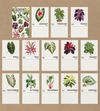 2025 House Plant Calendar