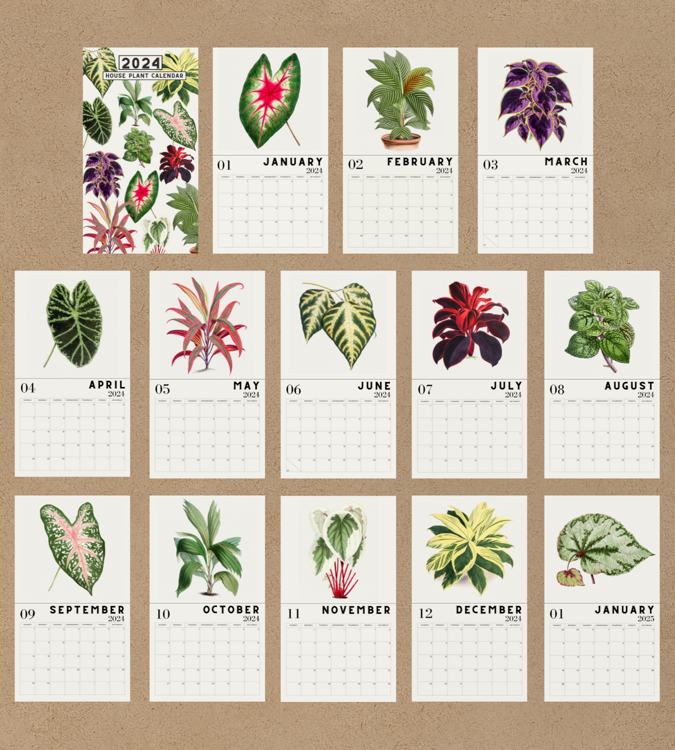2024 House Plant Calendar