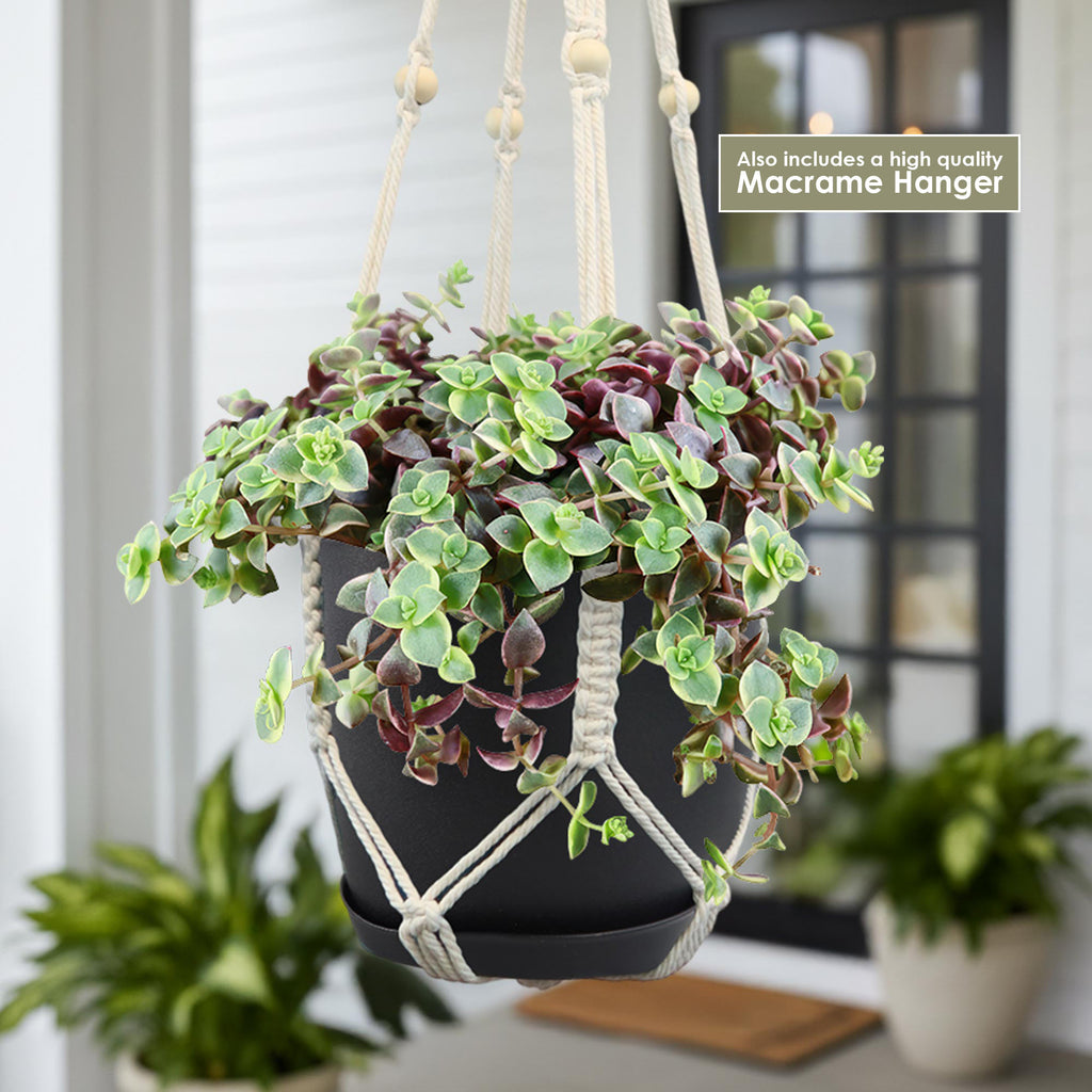 patrol_placeholder_a6ead9acc5af34cb22c78a05ed144ef7