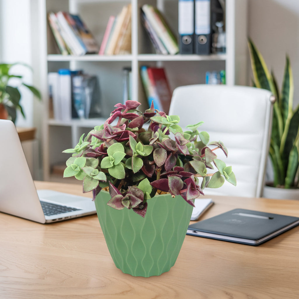 patrol_placeholder_a6ead9acc5af34cb22c78a05ed144ef7