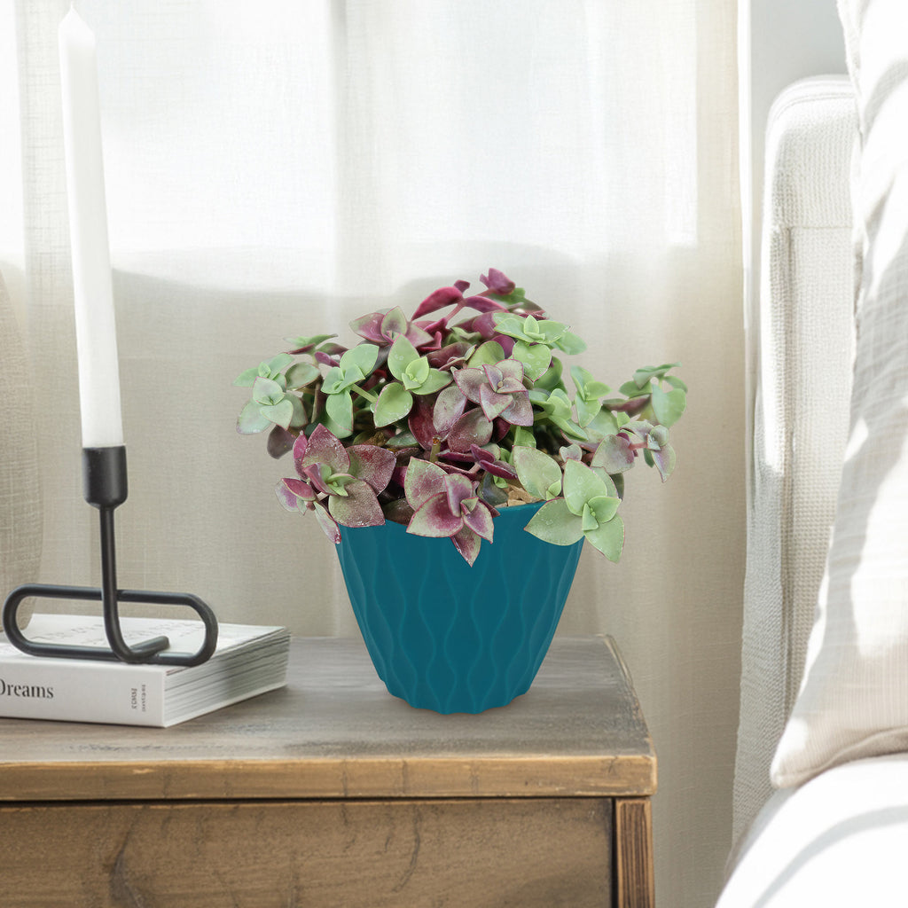 patrol_placeholder_a6ead9acc5af34cb22c78a05ed144ef7