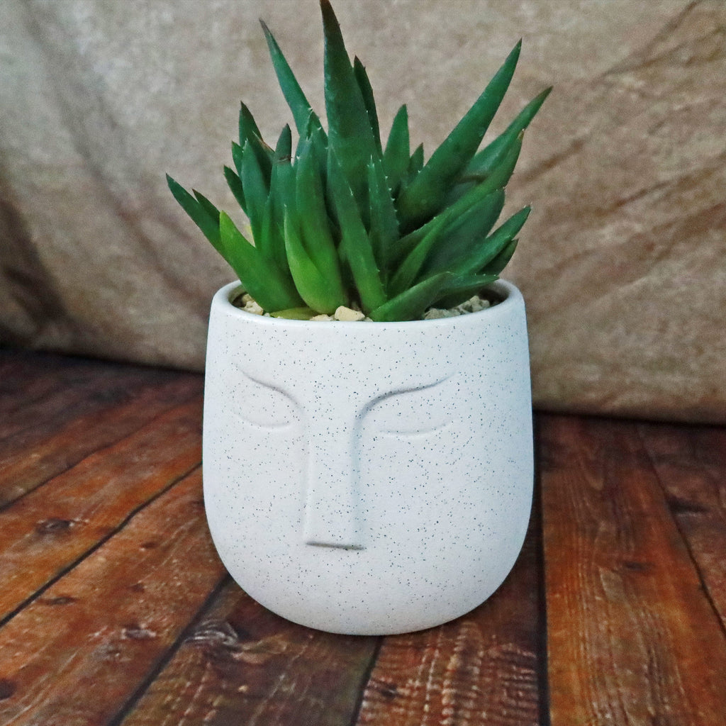 Ceramic Abstract Moai Face Bowl Sand Surface