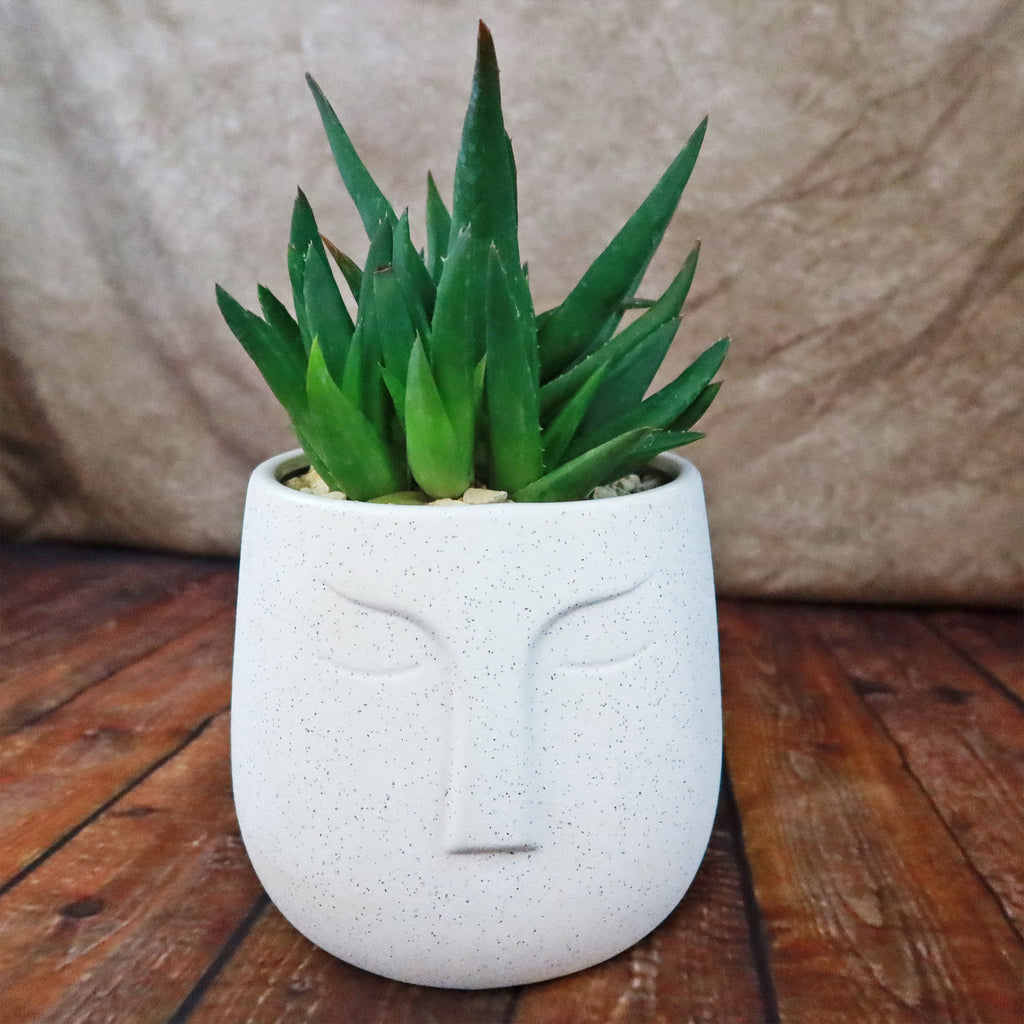 Ceramic Abstract Moai Face Bowl Sand Surface