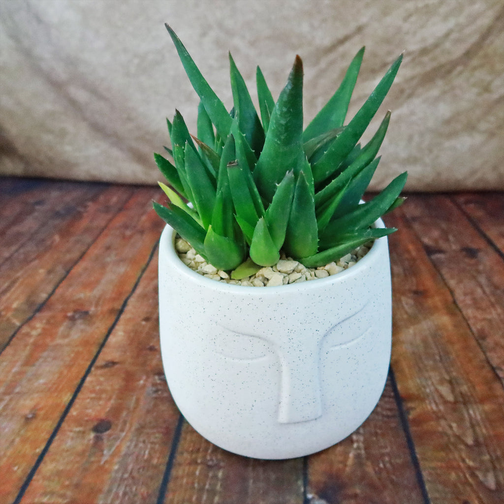 Ceramic Abstract Moai Face Bowl Sand Surface