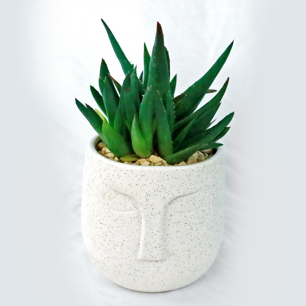 Ceramic Abstract Moai Face Bowl Sand Surface