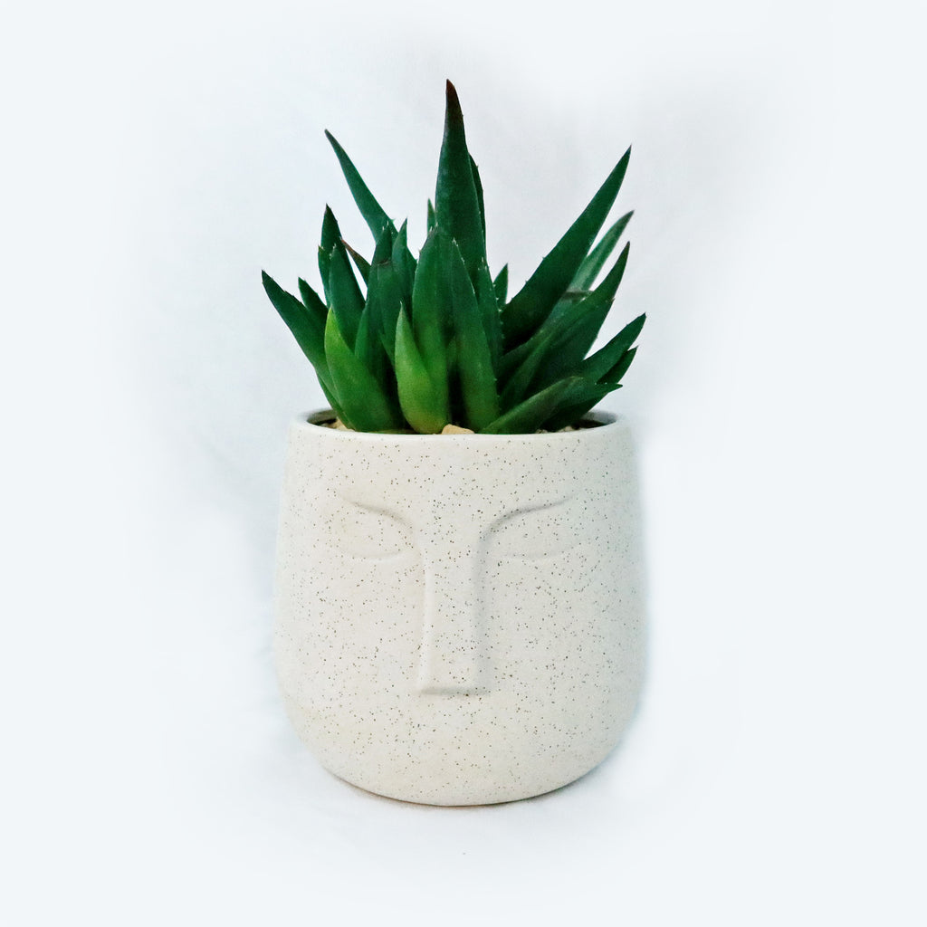 Ceramic Abstract Moai Face Bowl Sand Surface