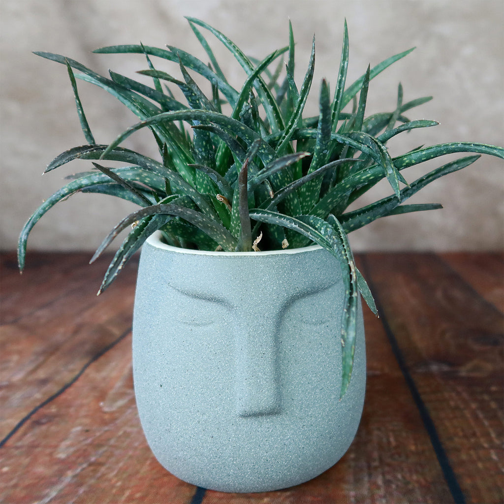 Ceramic Abstract Moai Face Bowl Sand Surface