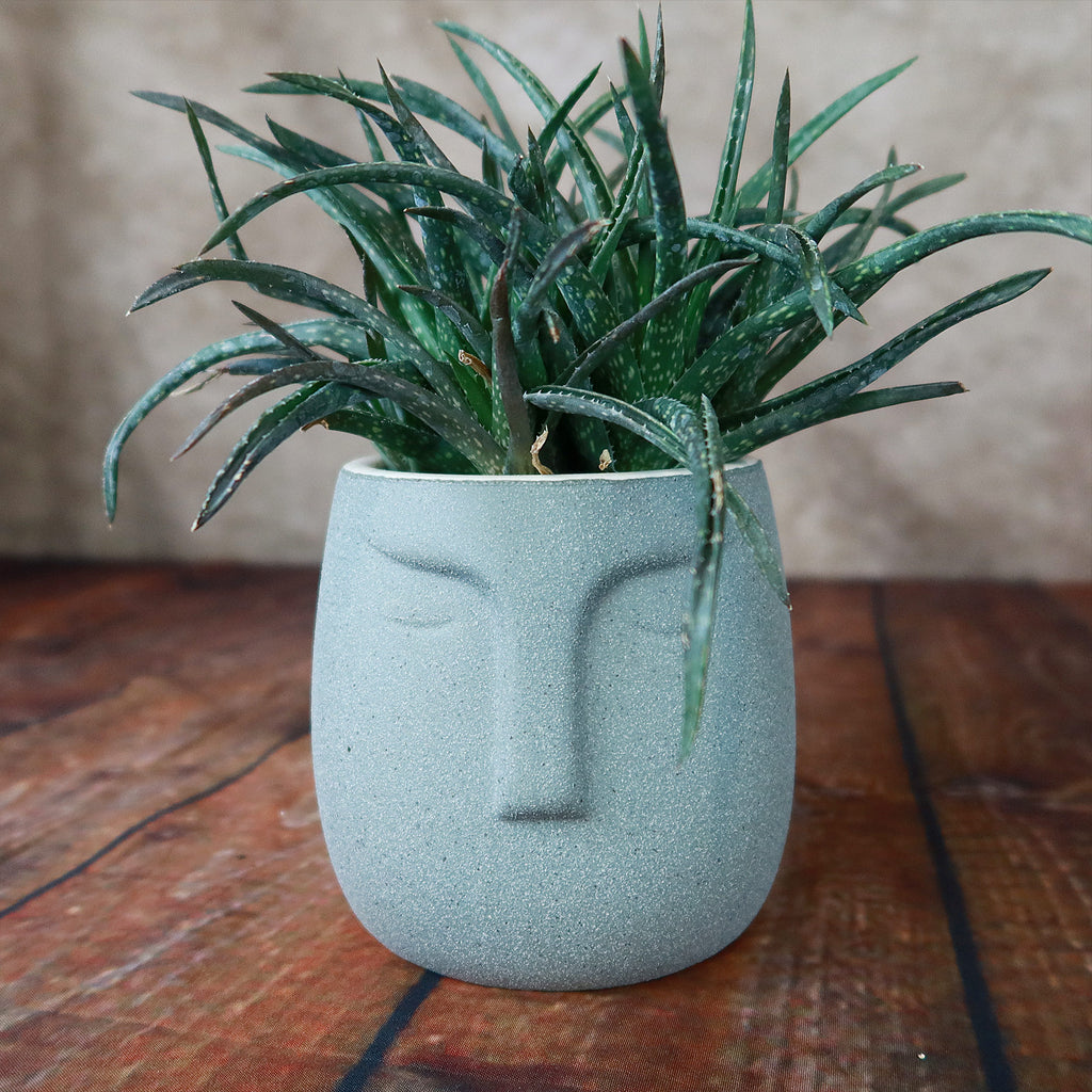 Ceramic Abstract Moai Face Bowl Sand Surface