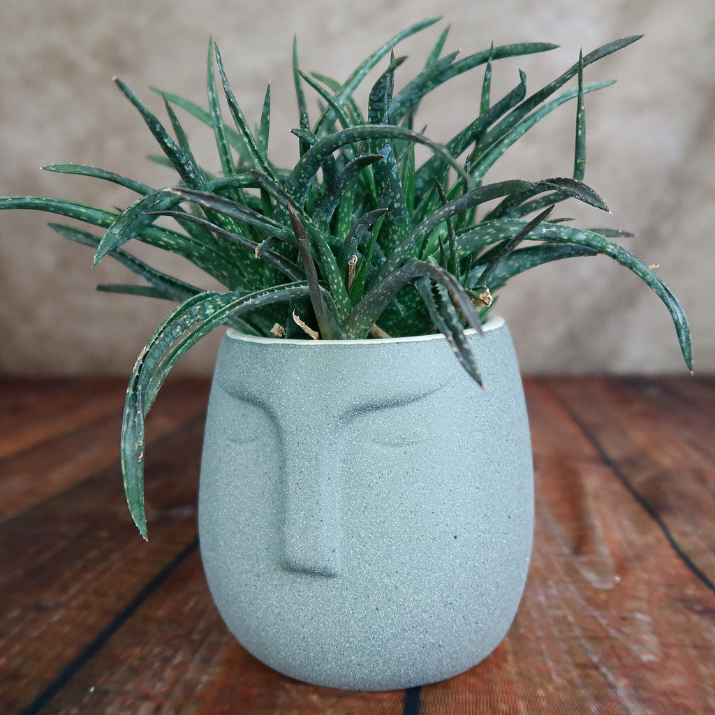 Ceramic Abstract Moai Face Bowl Sand Surface
