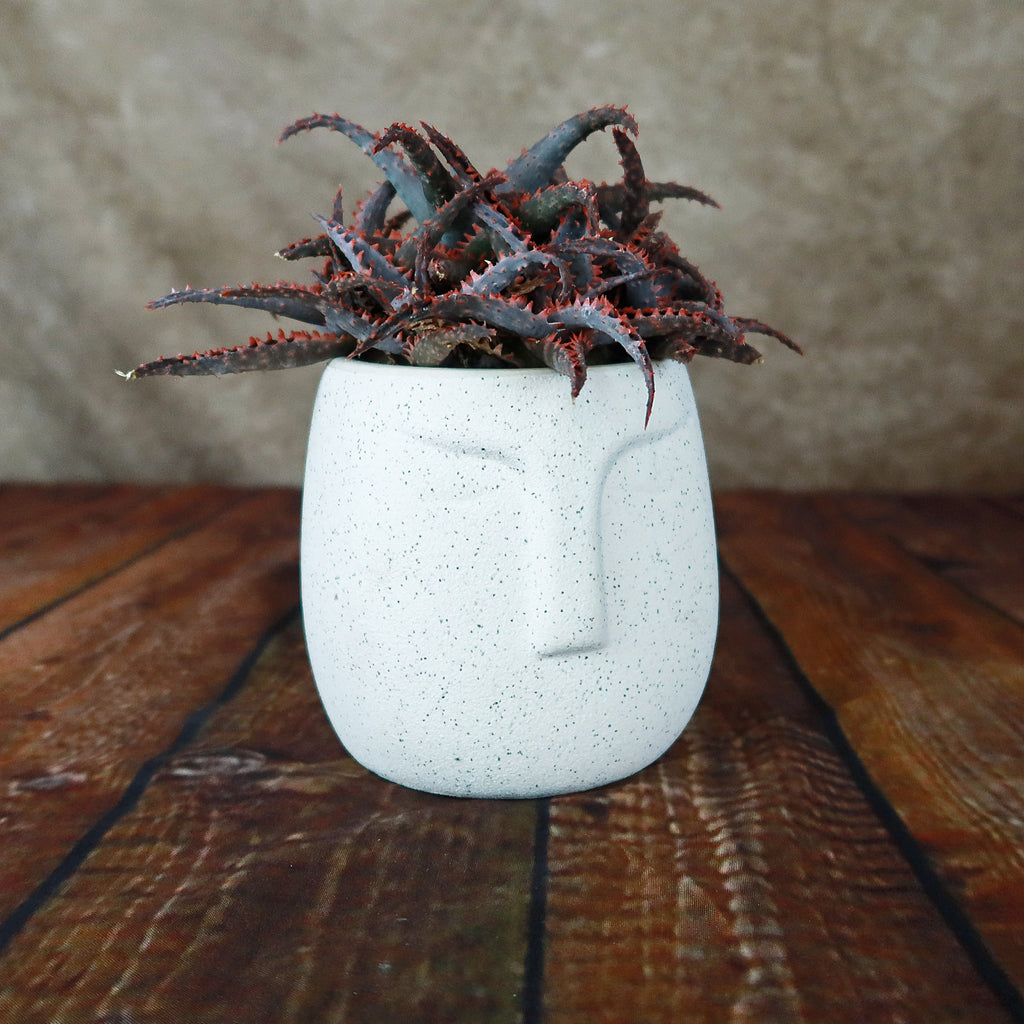 Ceramic Abstract Moai Face Bowl Sand Surface