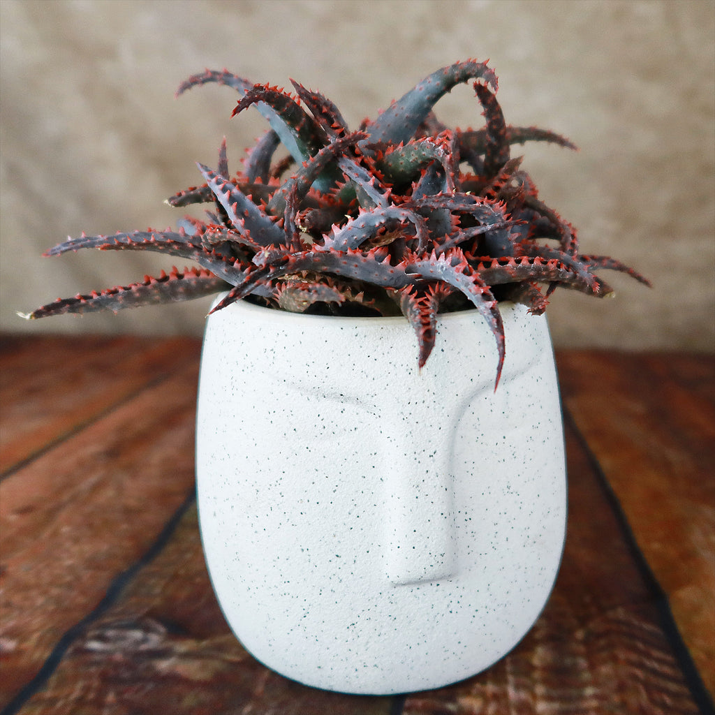 Ceramic Abstract Moai Face Bowl Sand Surface