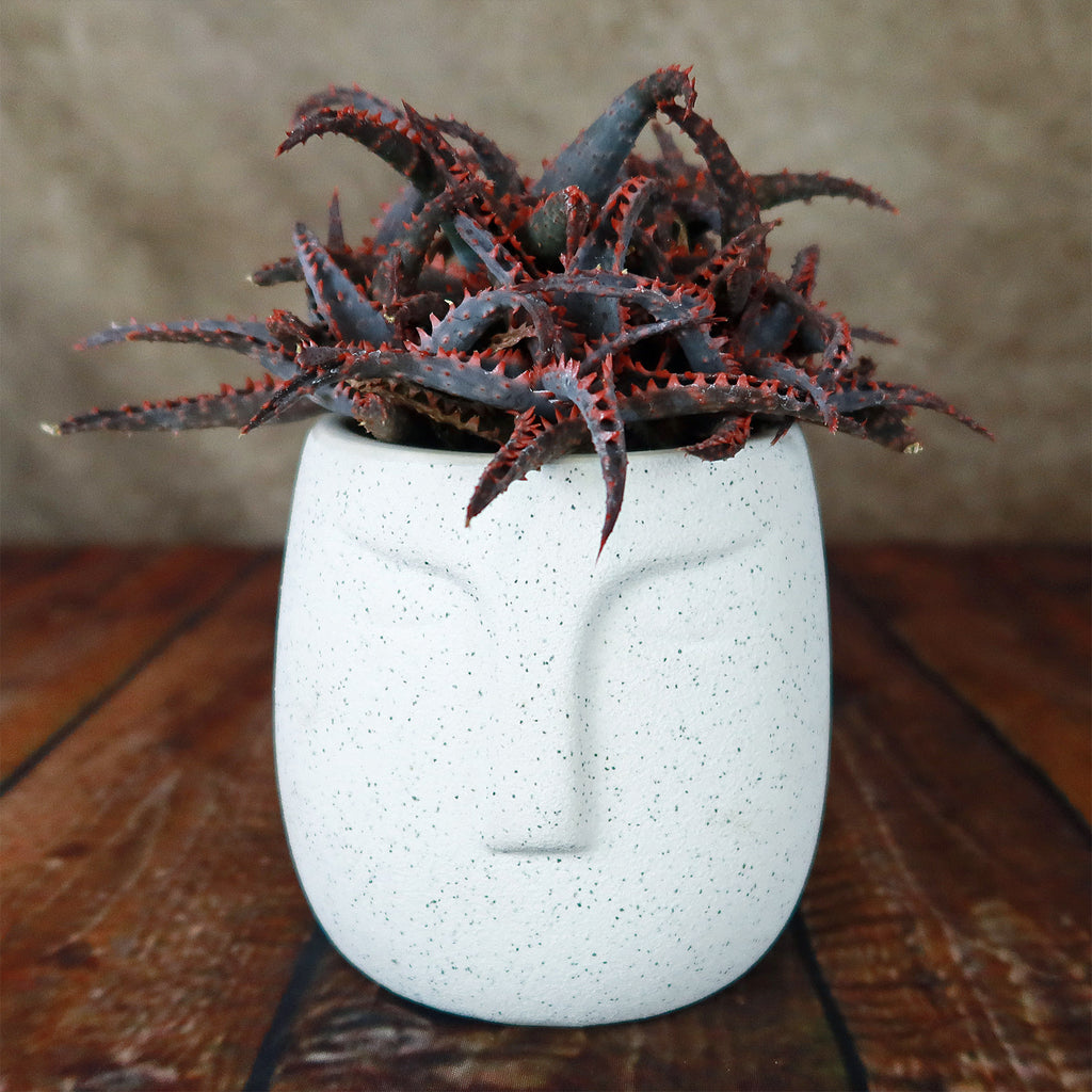 Ceramic Abstract Moai Face Bowl Sand Surface