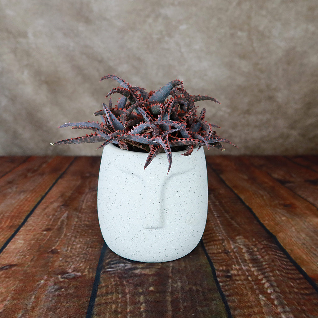 Ceramic Abstract Moai Face Bowl Sand Surface