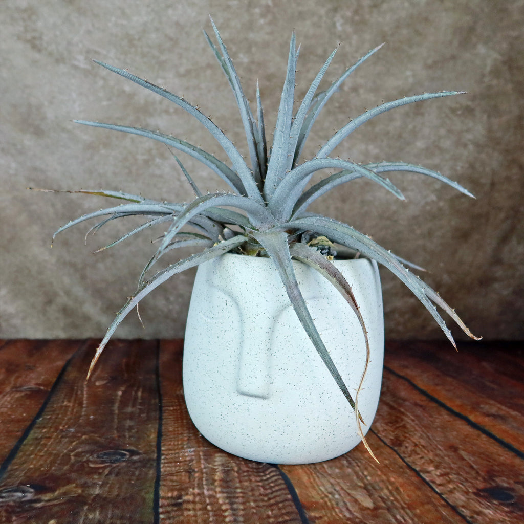 Ceramic Abstract Moai Face Bowl Sand Surface