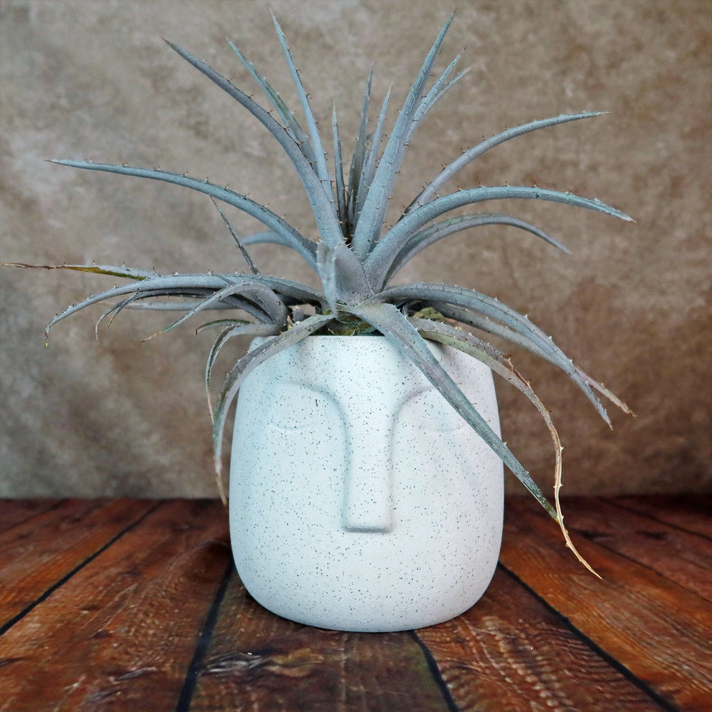 Ceramic Abstract Moai Face Bowl Sand Surface