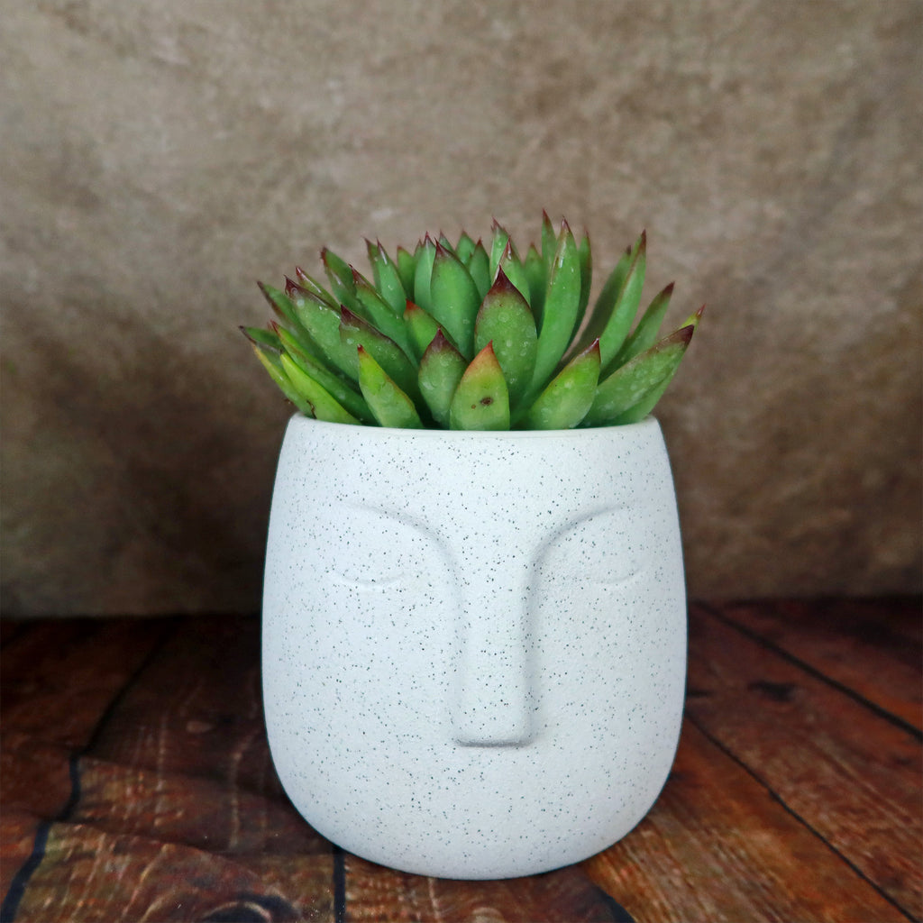 Ceramic Abstract Moai Face Bowl Sand Surface