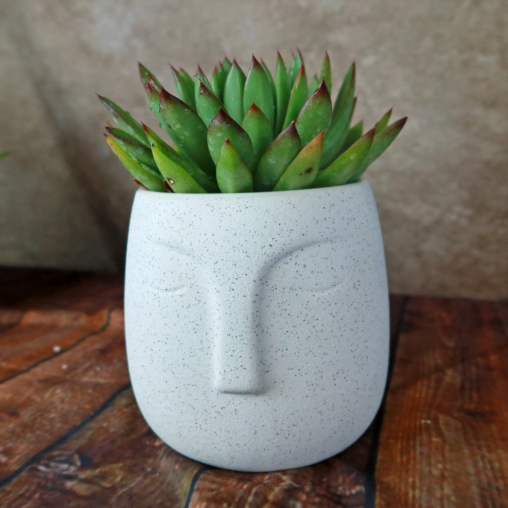 Ceramic Abstract Moai Face Bowl Sand Surface