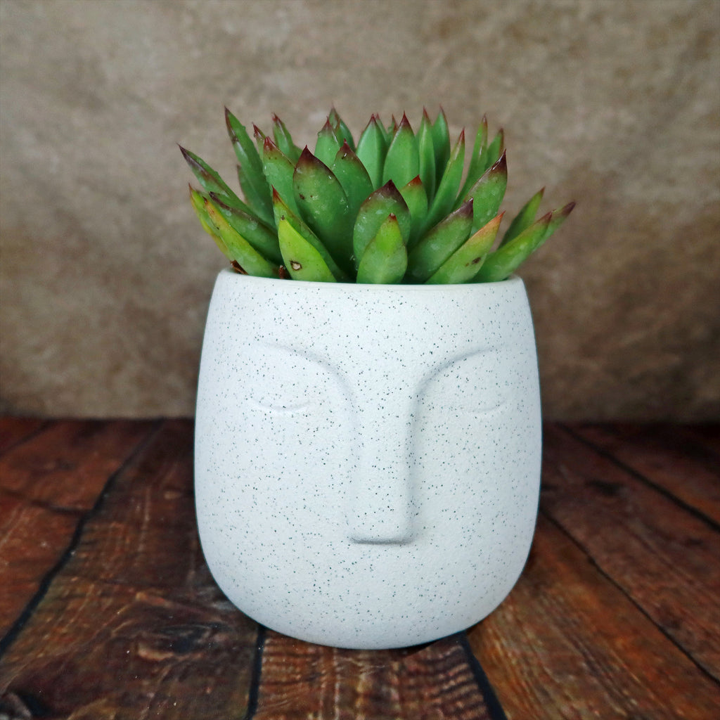 Ceramic Abstract Moai Face Bowl Sand Surface