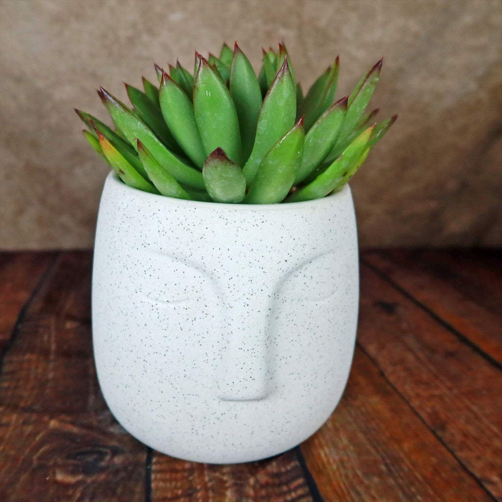 Ceramic Abstract Moai Face Bowl Sand Surface