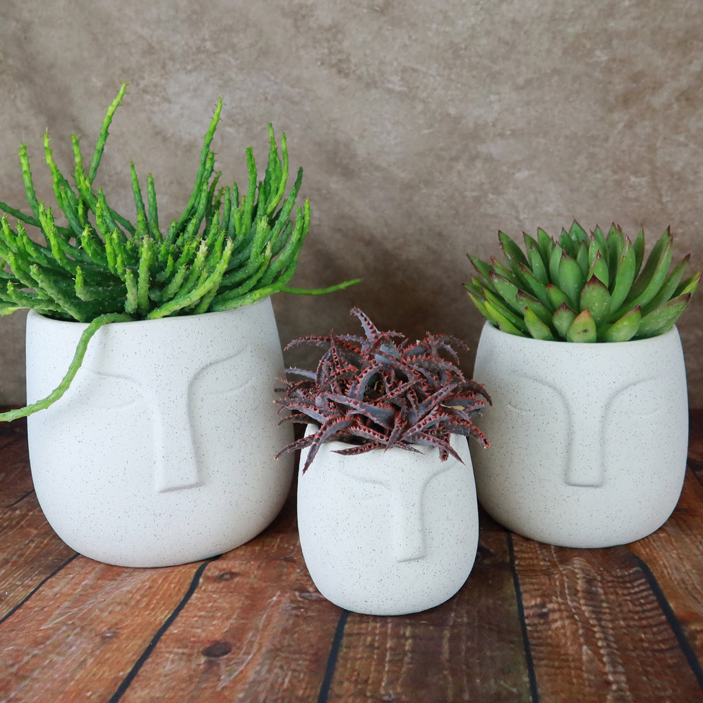 Ceramic Abstract Moai Face Bowl Sand Surface