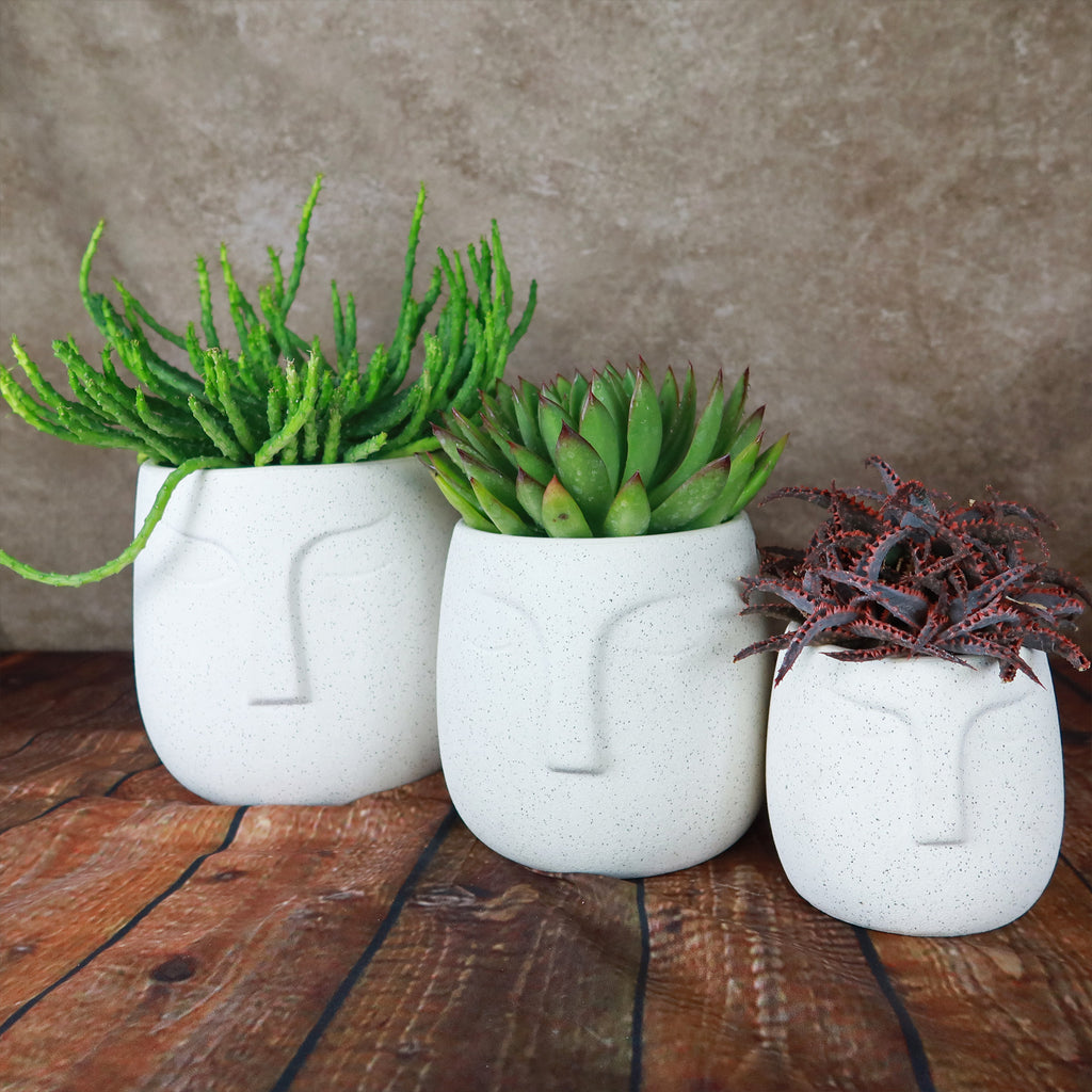 Ceramic Abstract Moai Face Bowl Sand Surface