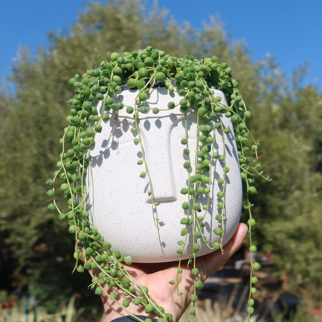 Ceramic Abstract Moai Face Bowl Sand Surface