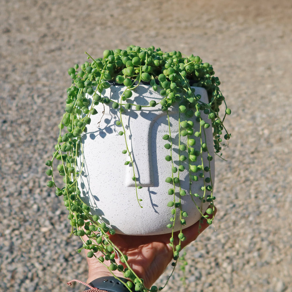 Ceramic Abstract Moai Face Bowl Sand Surface