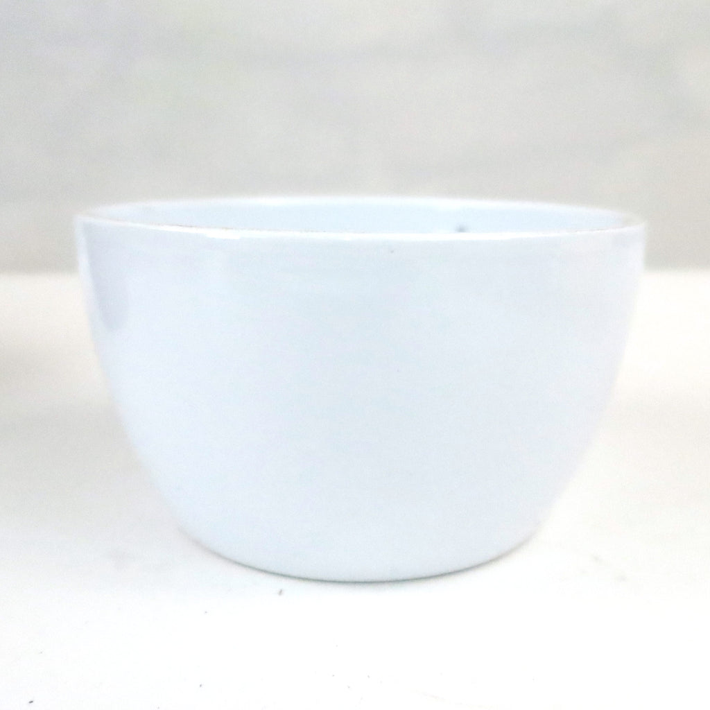 Ceramic Garden Bowl in one of 9 color options displayed on a white surface, suggesting a modern indoor or outdoor planter style.