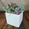 Ceramic Square Cube Pot