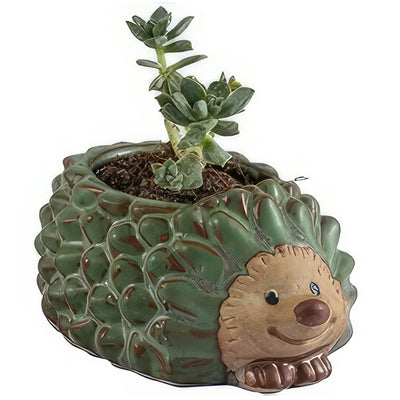 Animal Ceramic Planters for Indoor Succulents and Cacti, Small Pots with Drainage