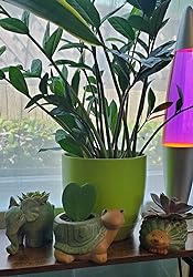 Animal Ceramic Planters for Indoor Succulents and Cacti, Small Pots with Drainage