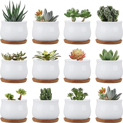 Ceramic Flower Pot with Drainage and Bamboo Tray - Ideal for Cactus and Small Planters