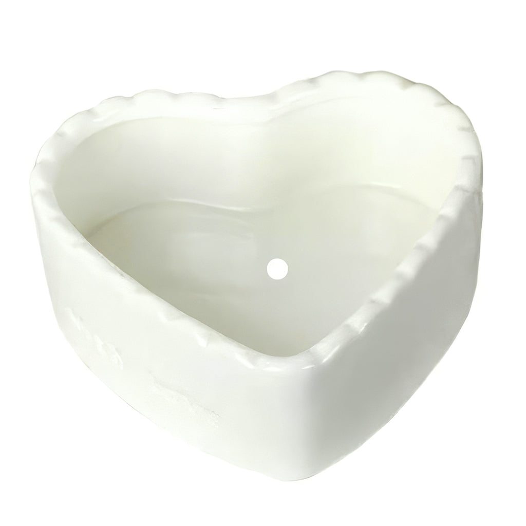 Ceramic Heart-Shaped Cream-White Succulent Plant Pots