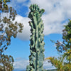 Monstrose Apple Cactus &