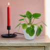 A red candle in a black holder and a Chinese Money Plant in a white pot rest on a light wood table in front of a pink wall.