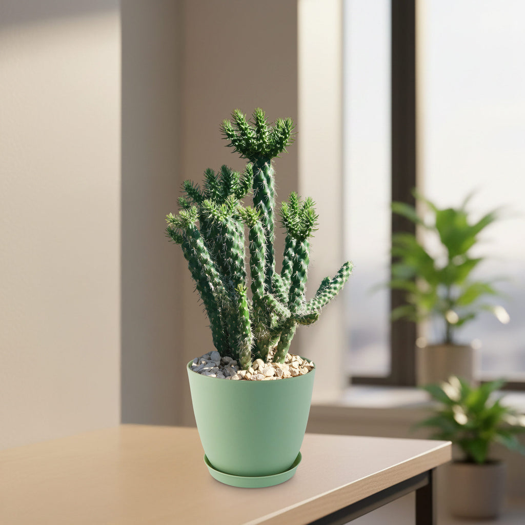 patrol_placeholder_a6ead9acc5af34cb22c78a05ed144ef7