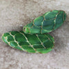 Cobra Cactus Cutting