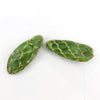 Cobra Cactus Cutting