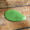 Opuntia Mona Lisa (Cutting)